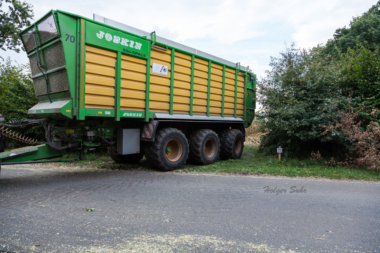 Bild 217 - Maisernte